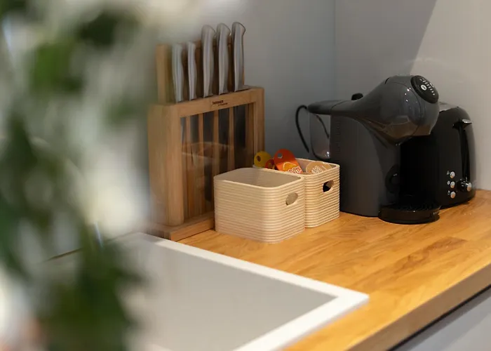 Studio Apartments Rijeka Апартаменты *